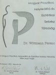 Zertifikat - Plastische-aesthetische Restitution - Dr. Wittmann